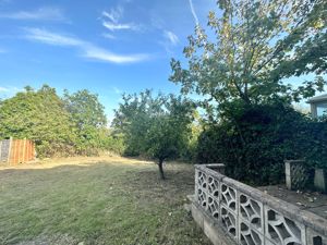 GARDEN- click for photo gallery